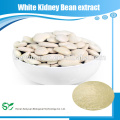 100% natürliche weiße Kidneybohne PE / White Kidney Bohnen Extrakt Pulver